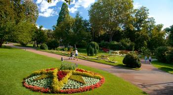 Jardin Lecoq showing flowers, hiking or walking and a park