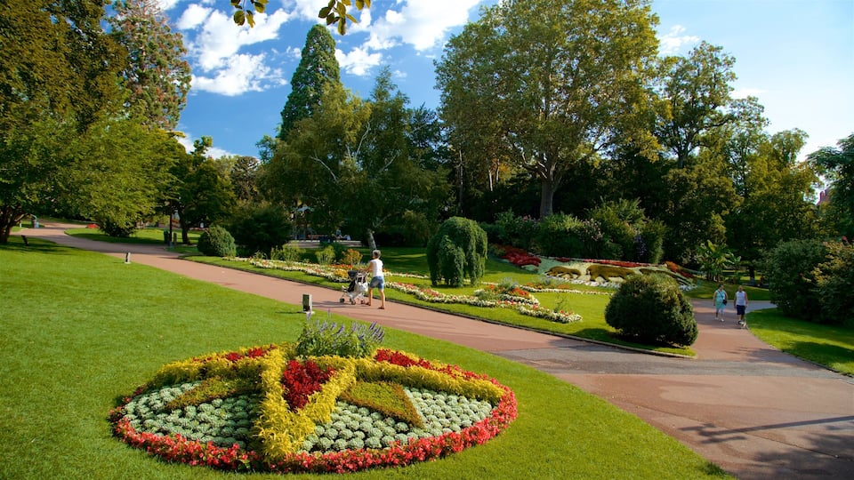 Jardin Lecoq showing flowers, hiking or walking and a park