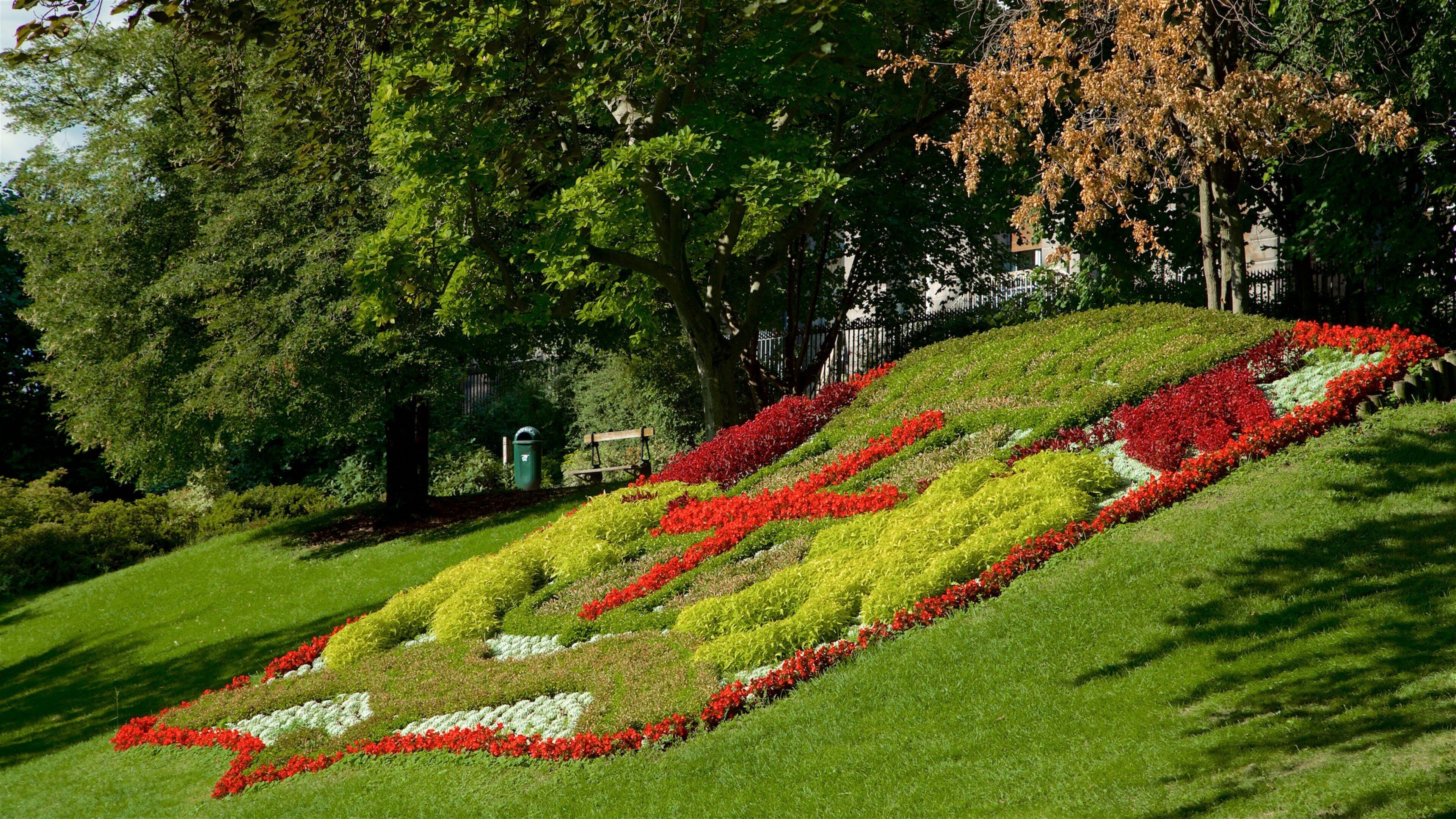 Jardin Lecoq which includes flowers and a park