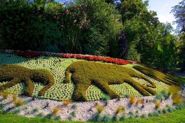 Jardin Lecoq フィーチャー 公園 と 花