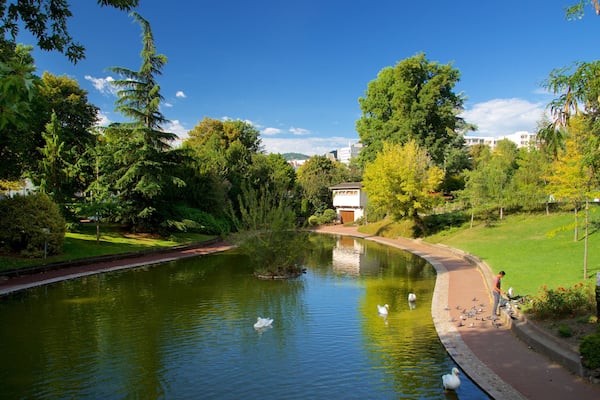 Jardin Lecoq featuring bird life, a park and a river or creek