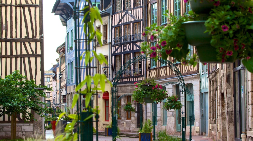 Rouen which includes a city