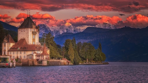Schloss Oberhofen am Thunersee
#Thunersee #Oberhofen #switzerland #lake_thunersee #jungfraujoch #berner_oberland
#BvSMountains