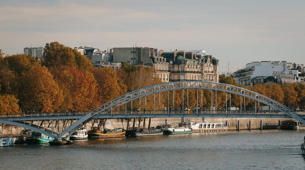 Passerelle Debilly featuring a river or creek, a bridge and a bay or harbor