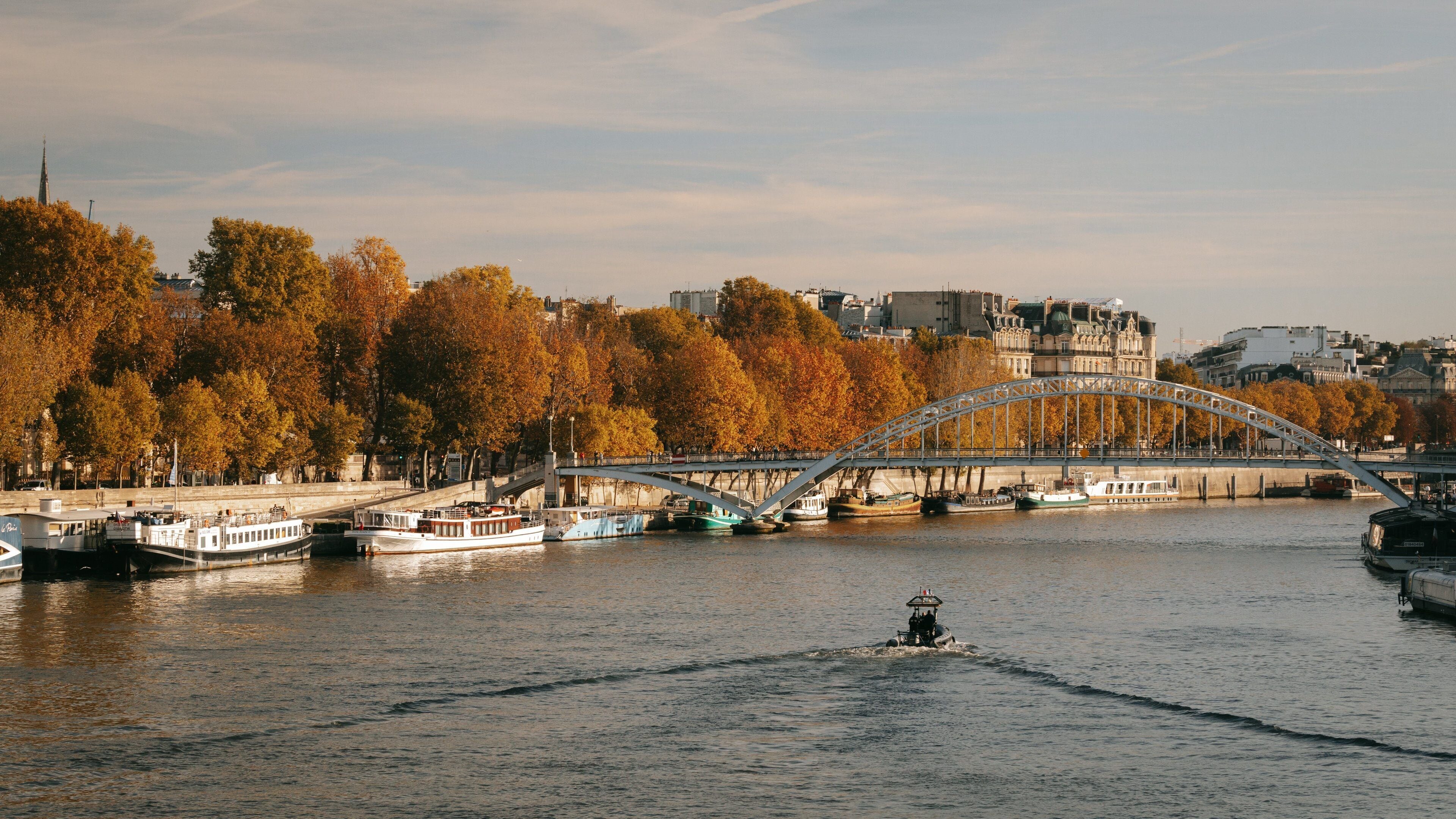 Passerelle Debilly showing boating, a bridge and fall colors