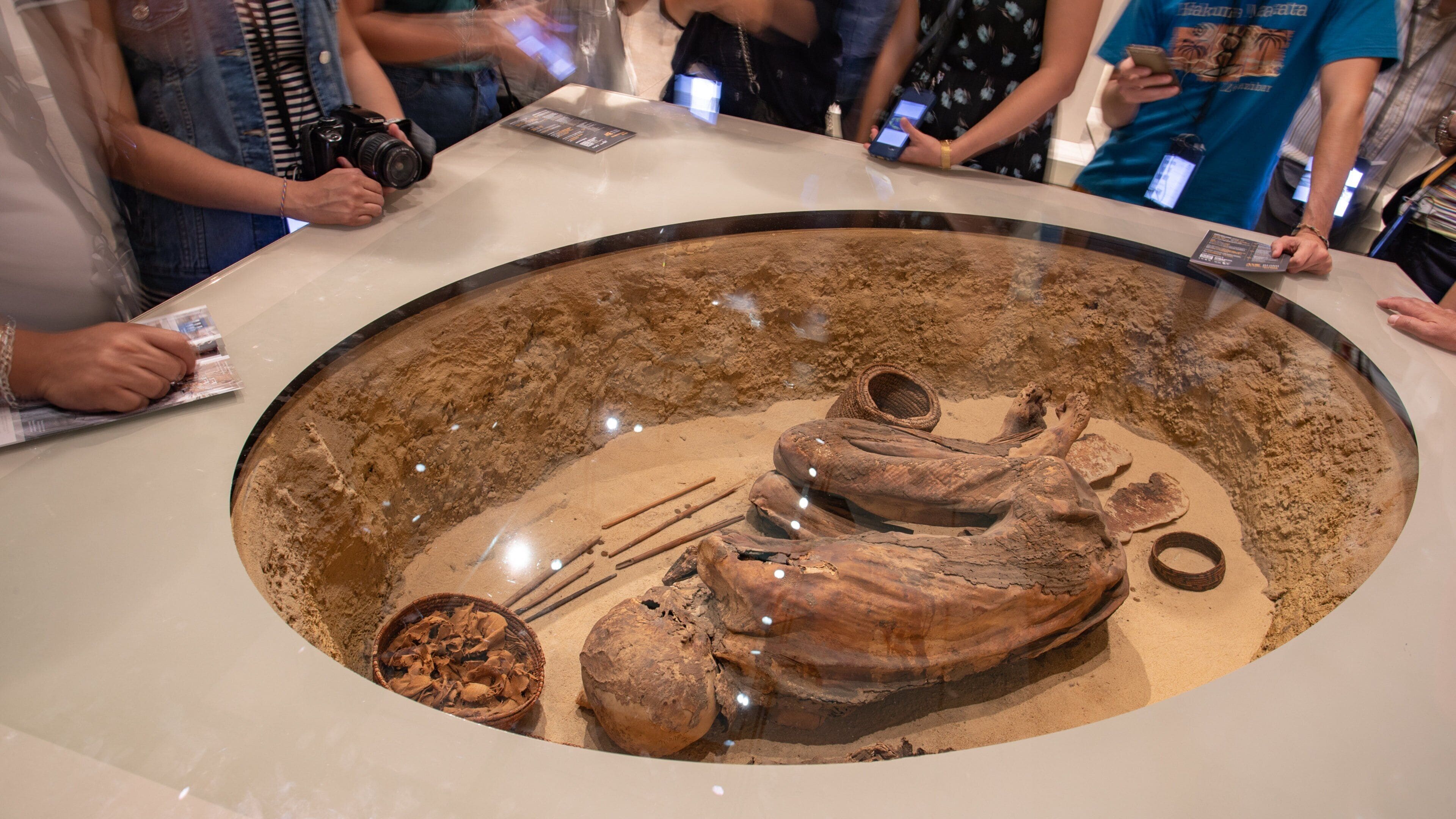 Egyptian Museum Torino featuring heritage elements