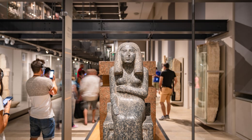 Egyptian Museum Torino showing heritage elements and interior views