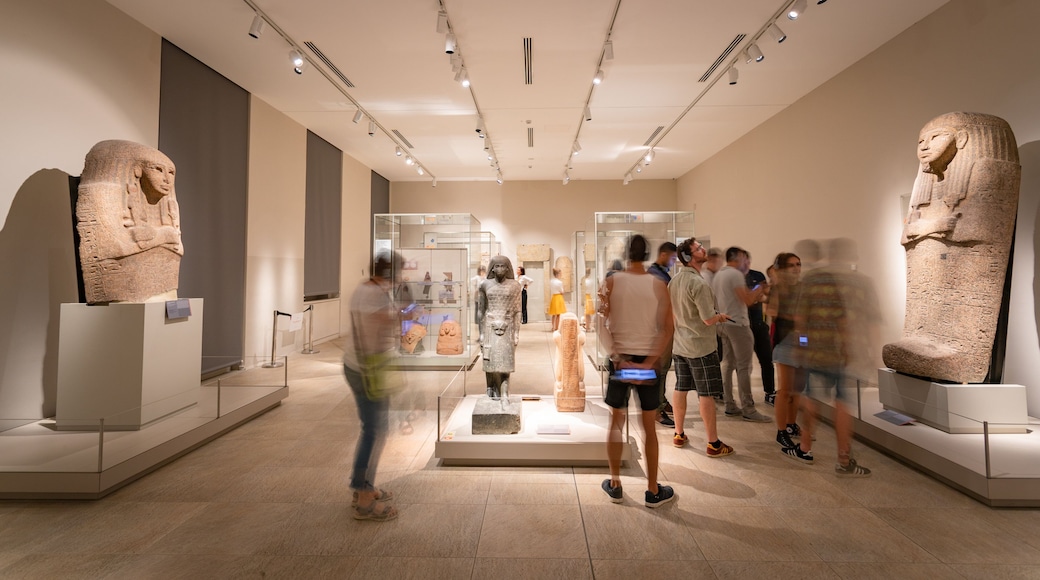 Egyptian Museum Torino which includes interior views as well as a small group of people