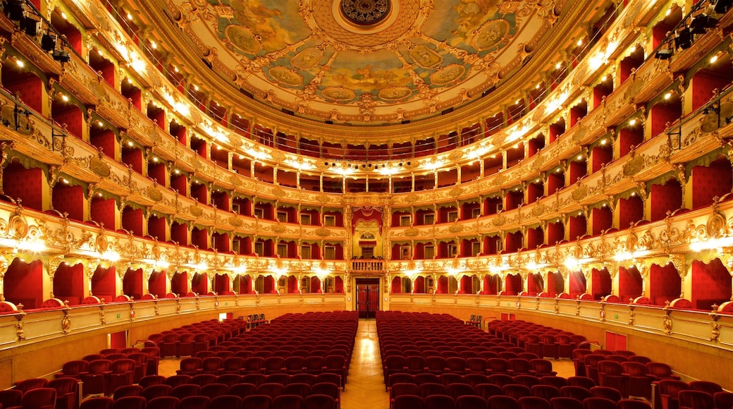 Teatro Grande featuring heritage elements, interior views and theater scenes