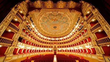 Um teatro ornamentado com um teto circular imponente e assentos de veludo vermelho.