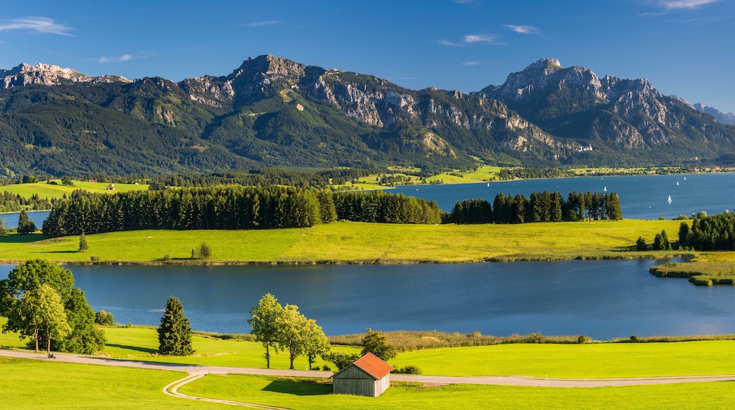 Panorama Landschaft im Allgäu am Forggensee