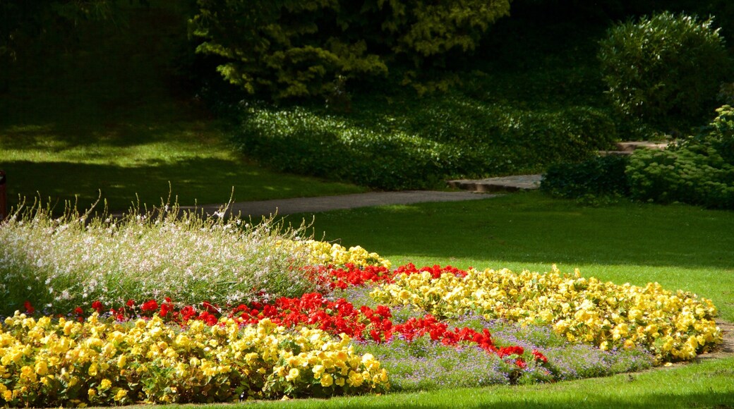 Edmund Klein Park which includes a park and flowers