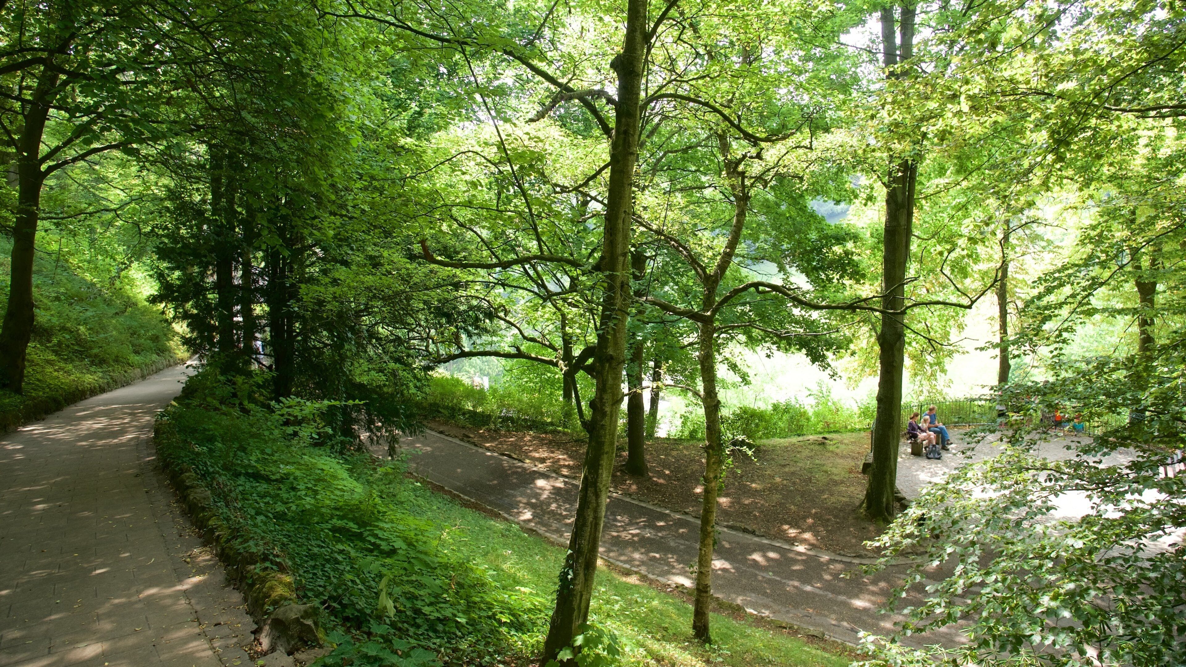 Luxembourg featuring a park as well as a small group of people