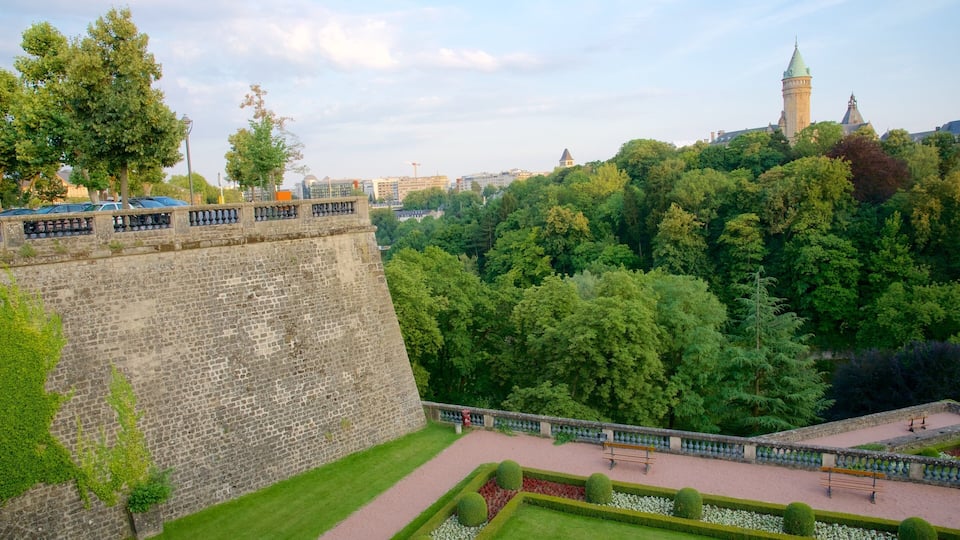 Luxembourg showing a garden