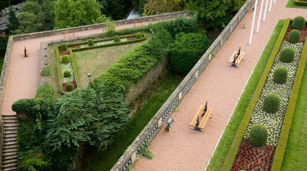 Luxemburgo mostrando un parque