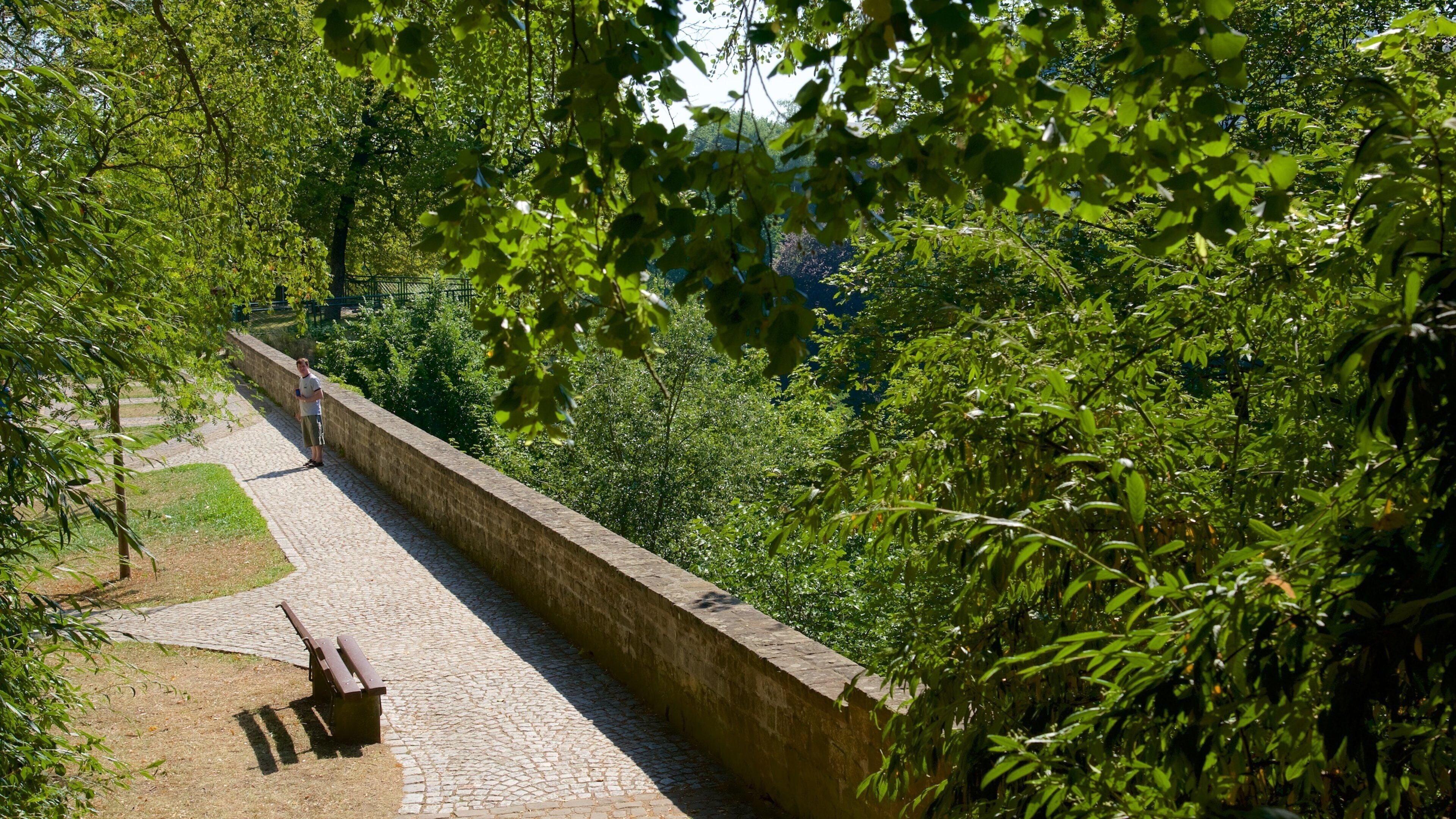 Chemin de la Corniche which includes views