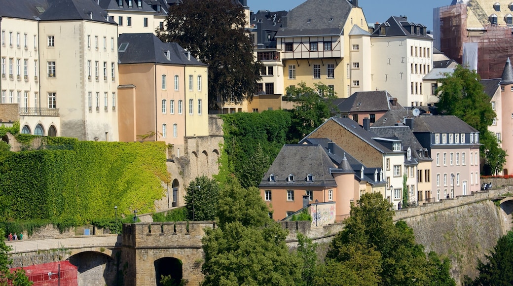 Luxembourg som viser liten by eller landsby
