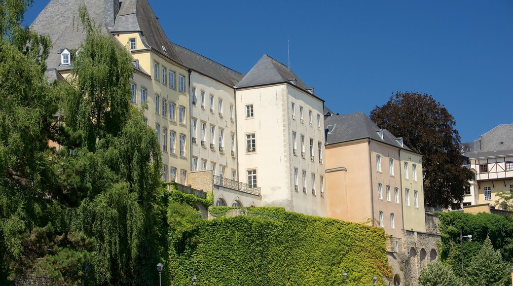 Luxemburgo mostrando patrimonio de arquitectura