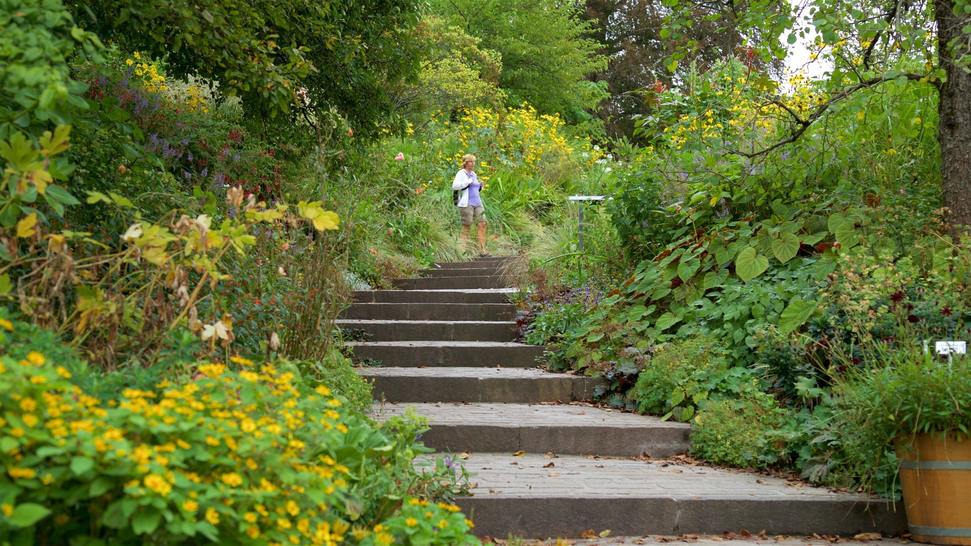 Botanical Garden Tours - Book Now | Expedia