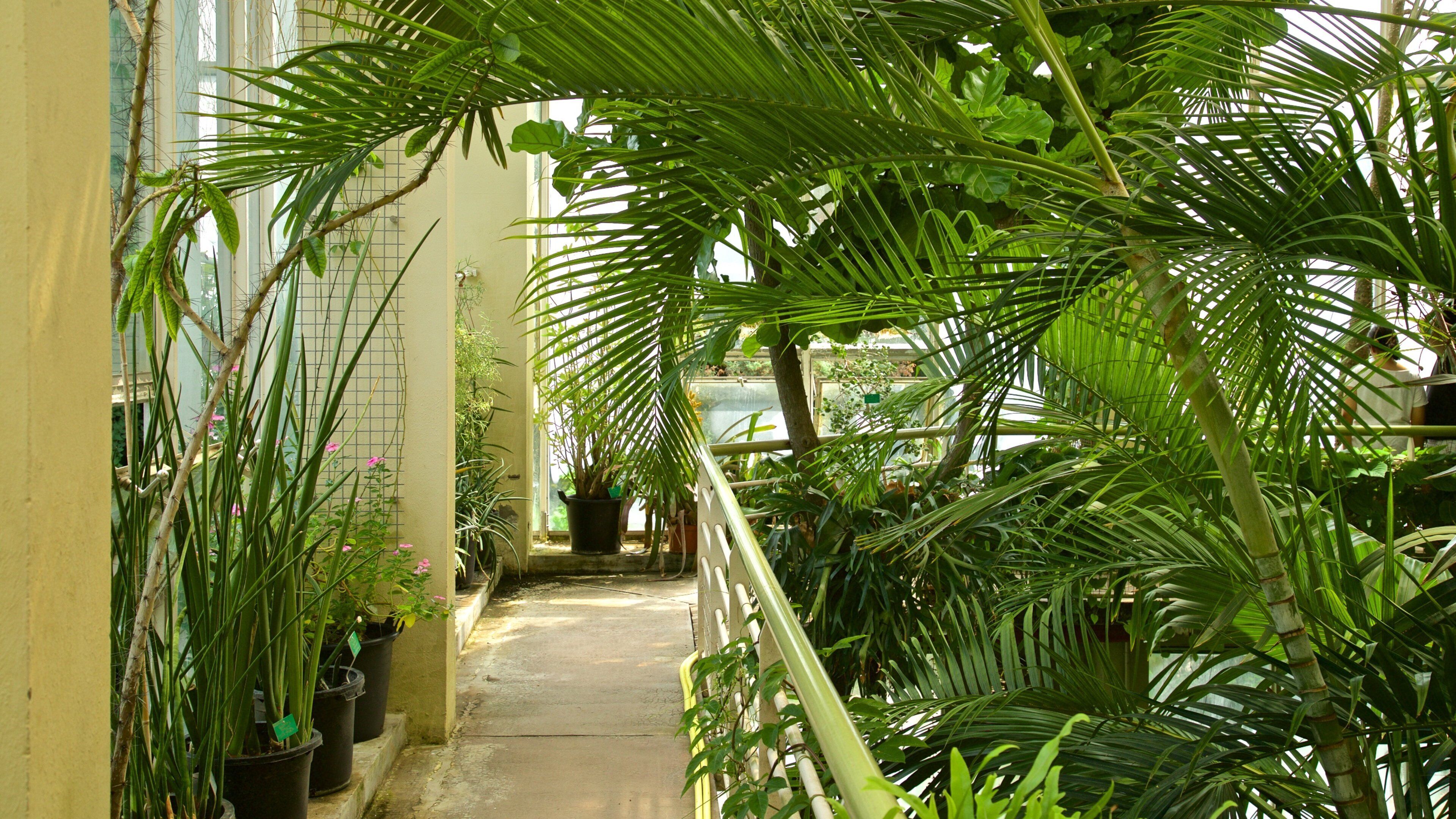 Botanical Gardens featuring interior views and a park