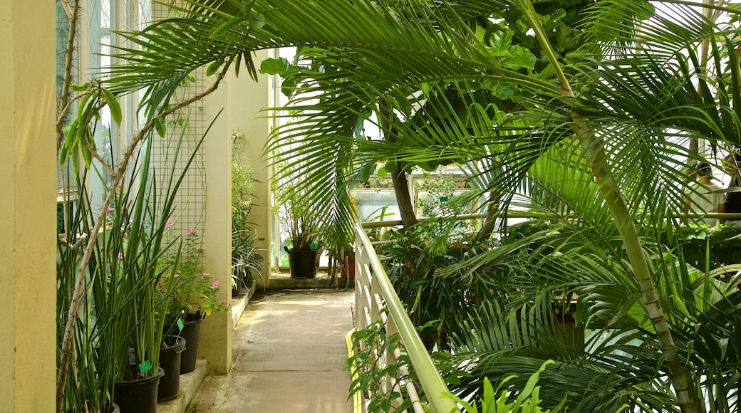 Botanical Gardens featuring interior views and a park