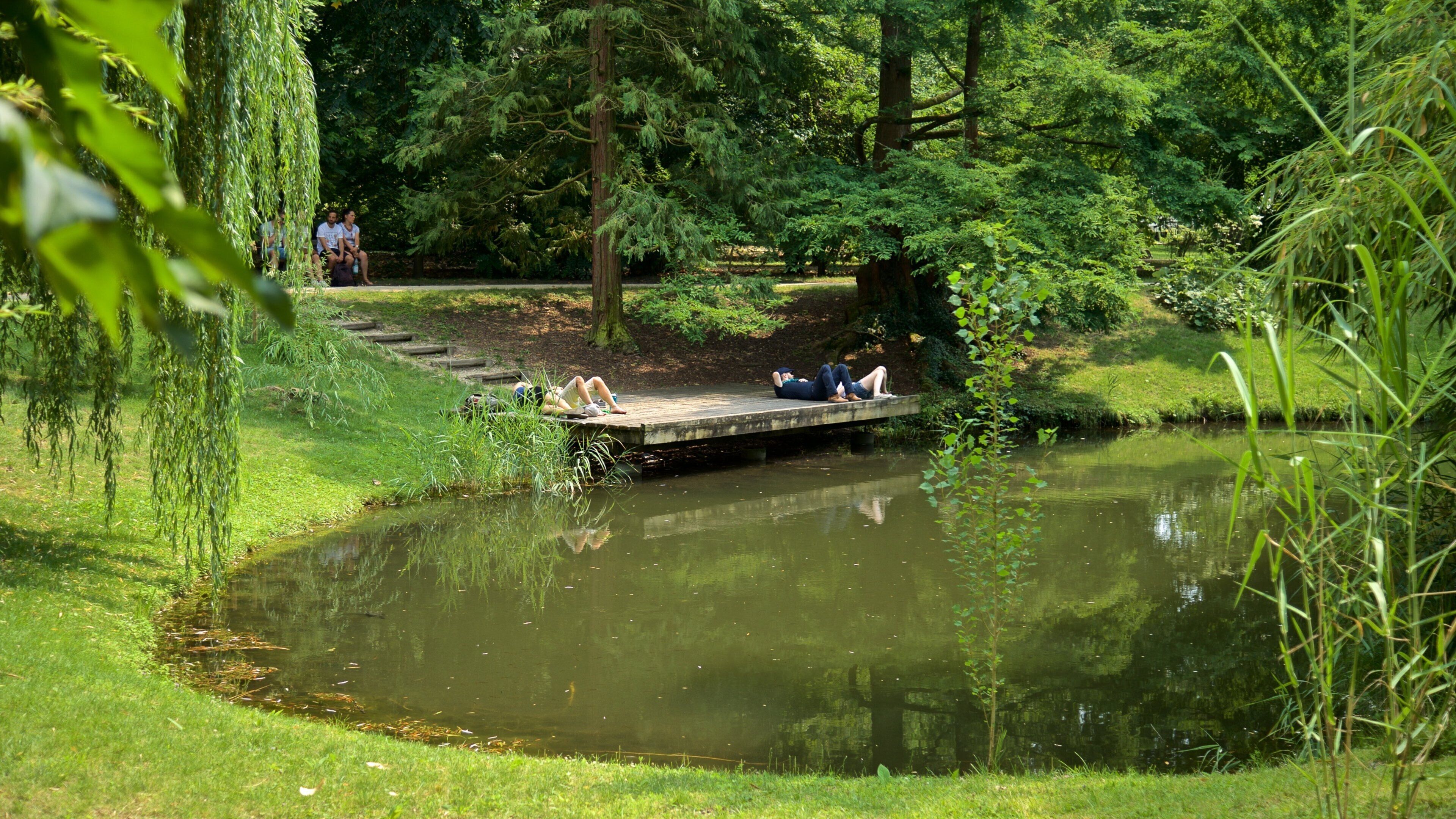 Botanical Gardens featuring a lake or waterhole and a garden