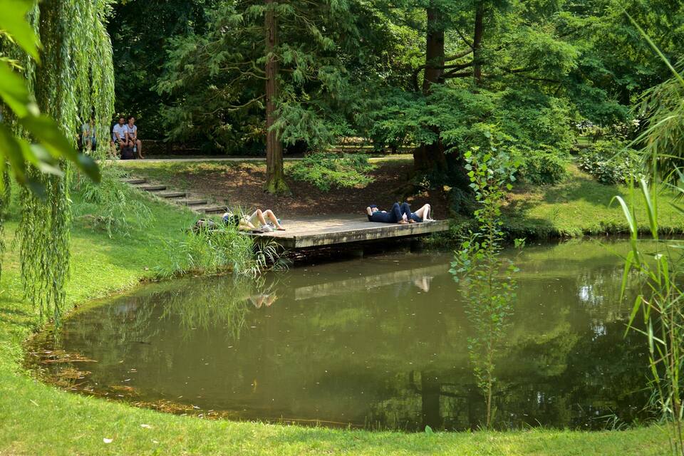 Un étang surmonté d’un pont en bois, entouré d’une végétation luxuriante et d’arbres.