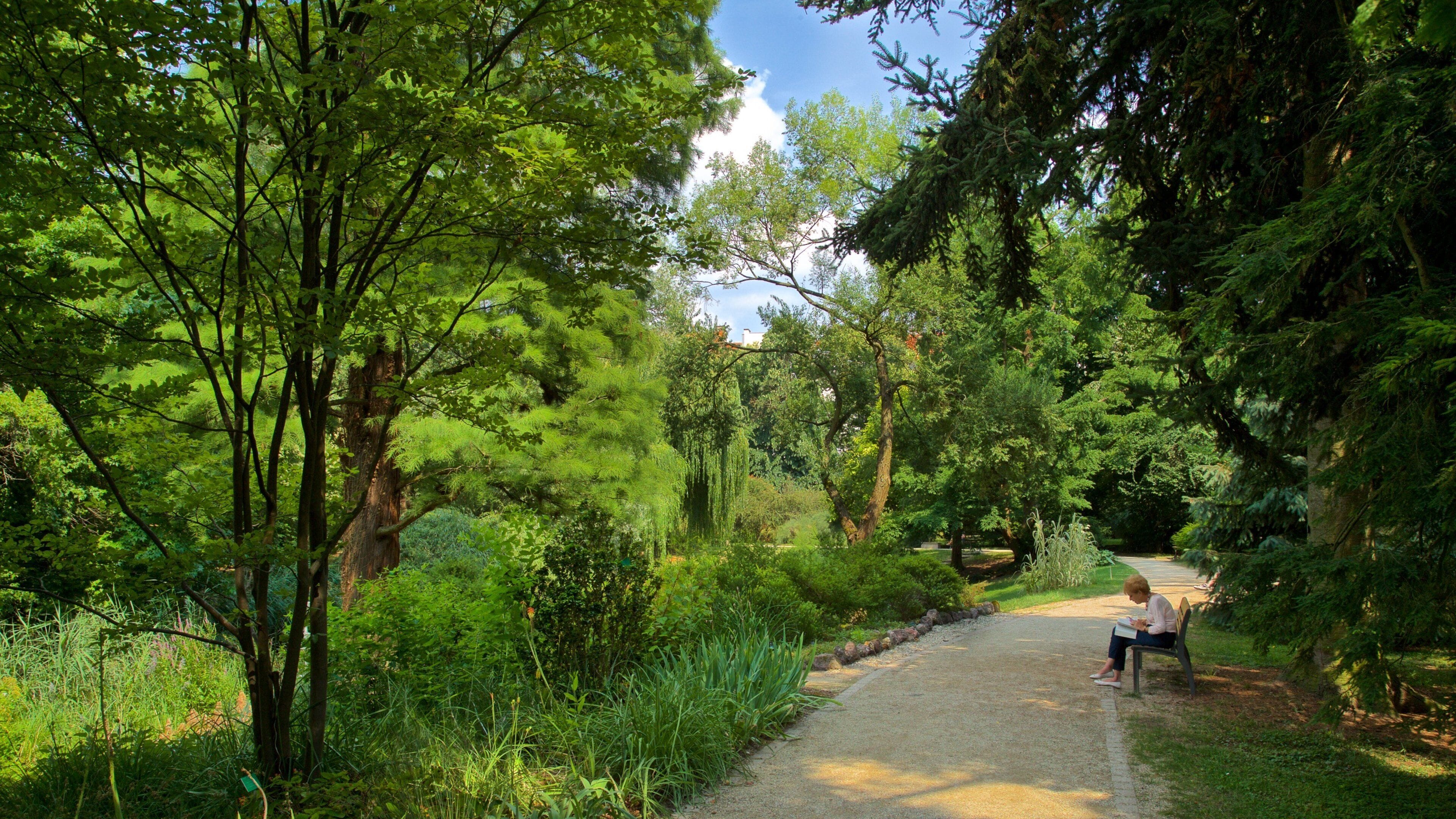 Botanical Gardens featuring a park as well as an individual femail