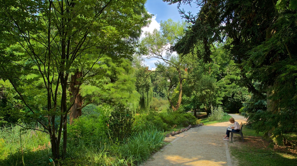 Botanical Gardens featuring a park as well as an individual femail
