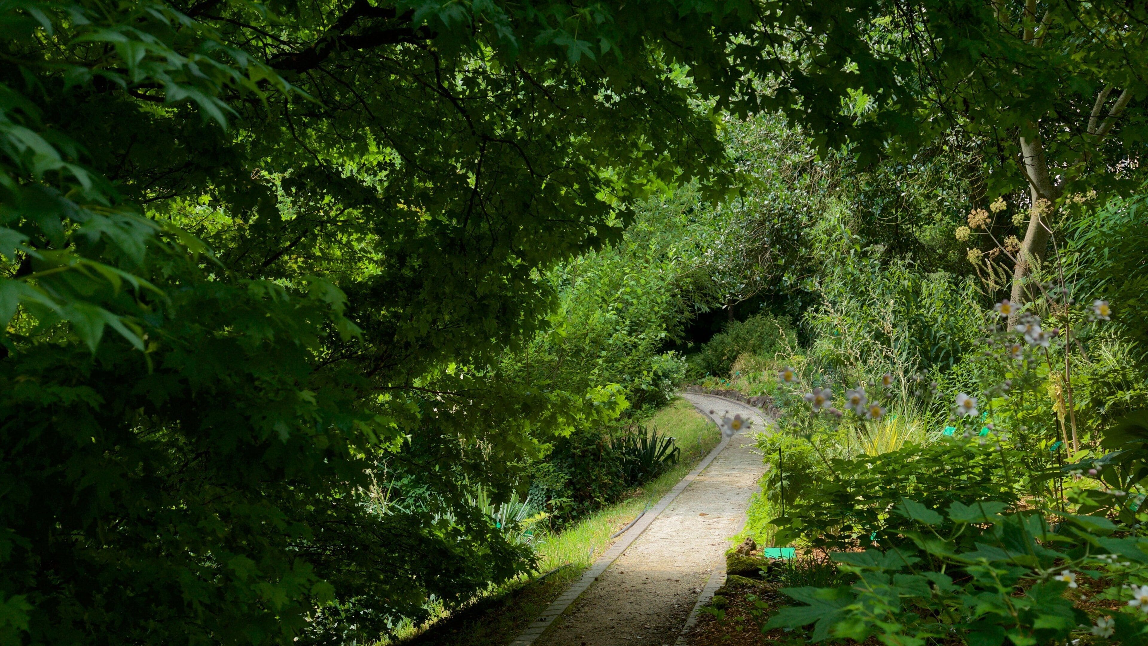 Botanical Gardens showing a garden