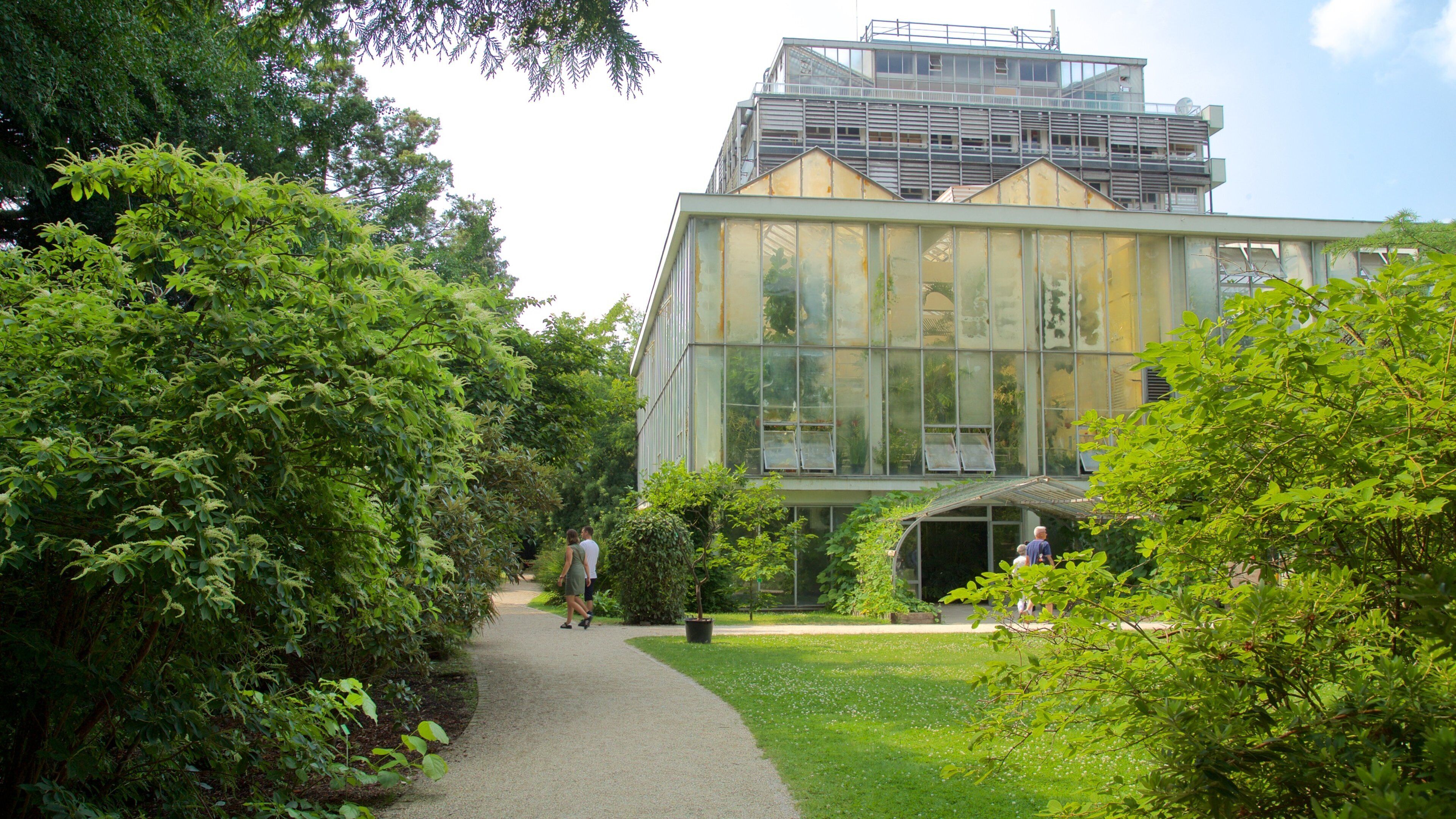 Botanical Gardens showing a park