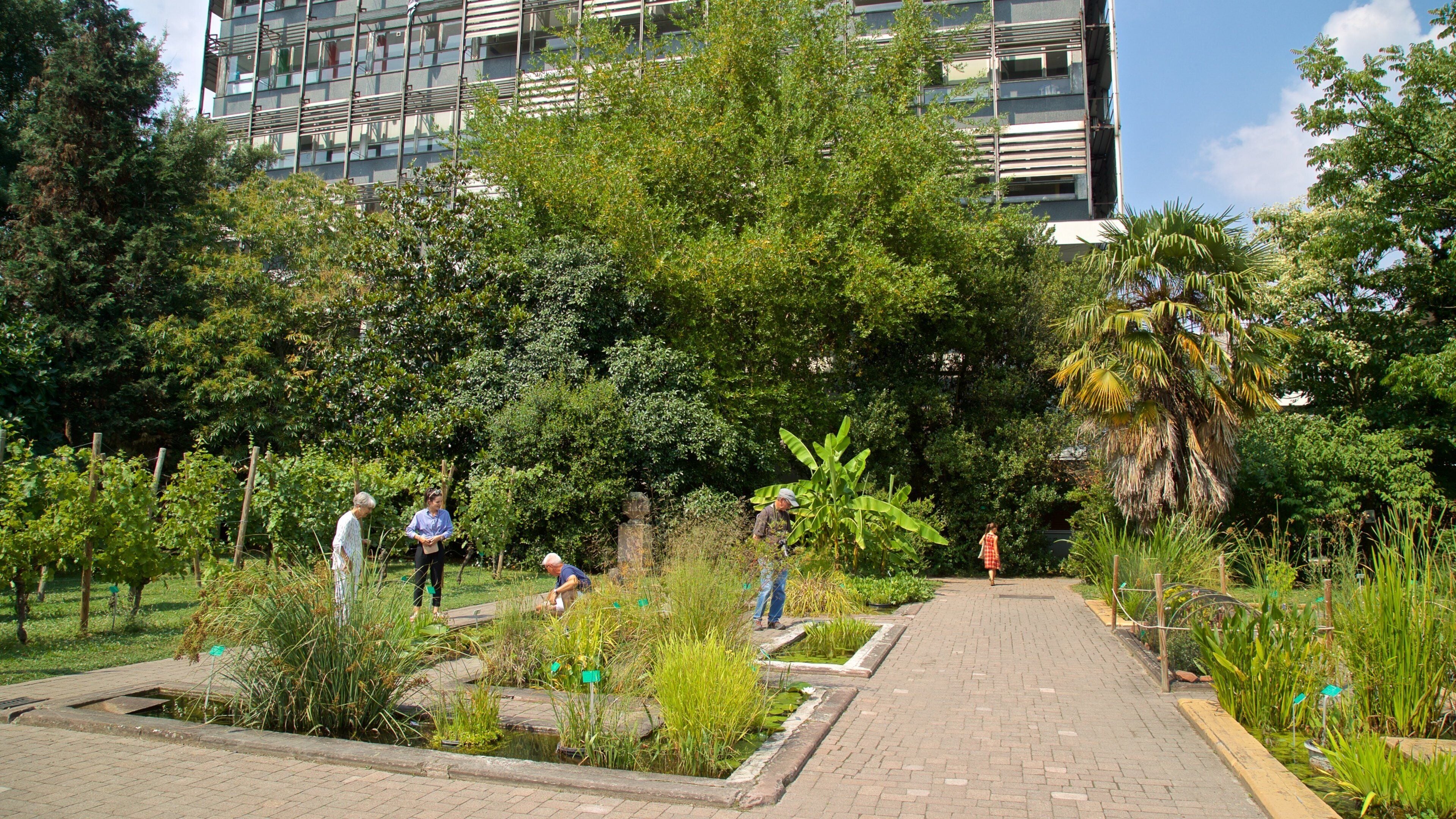 Botanical Gardens showing a park as well as a small group of people