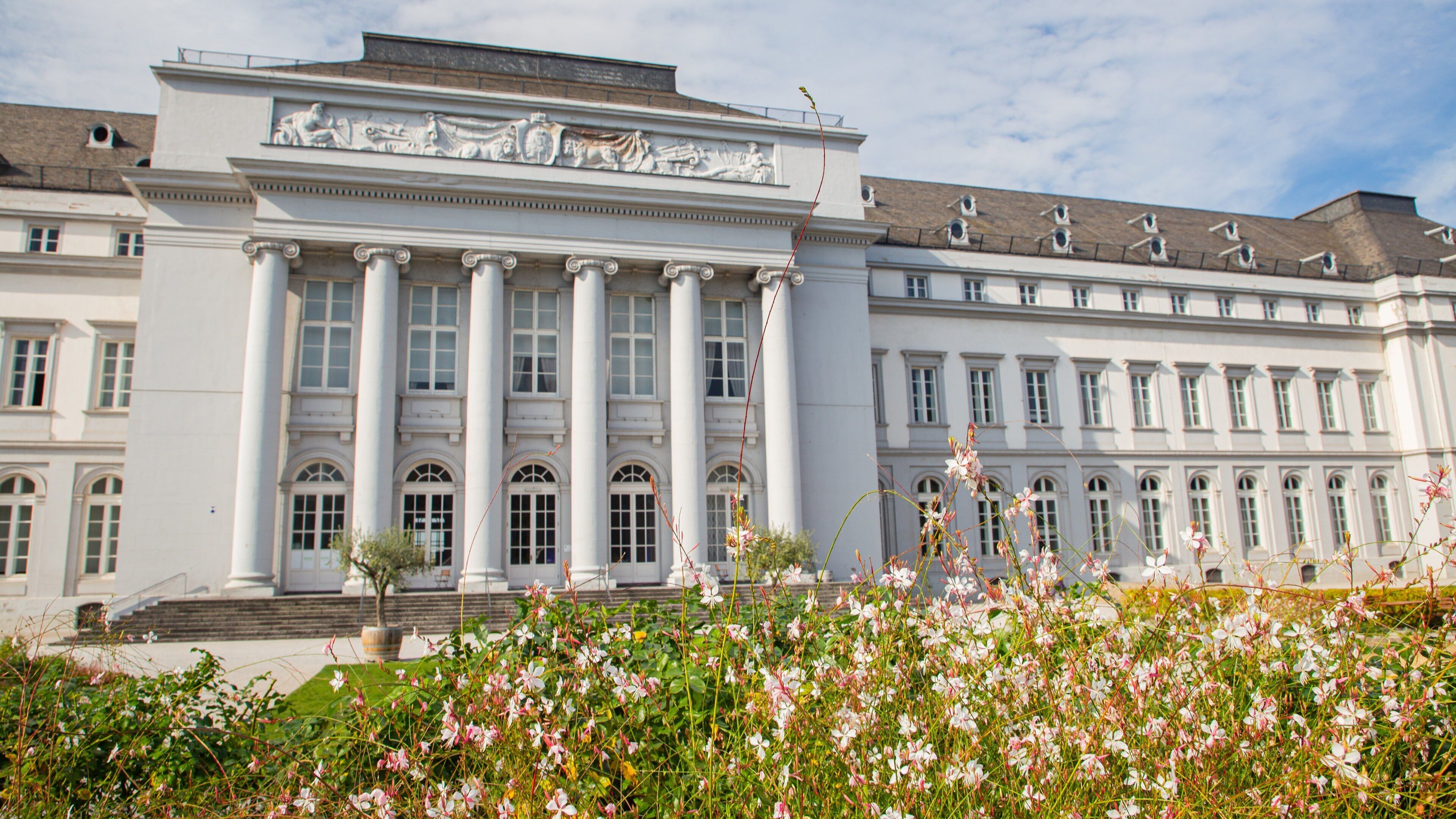 Altstadt Koblenz featuring heritage architecture and wildflowers