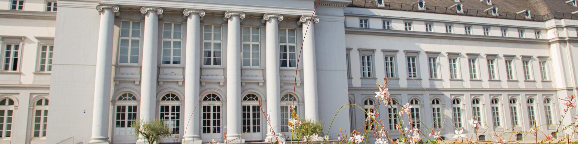 Altstadt Koblenz featuring heritage architecture and wildflowers
