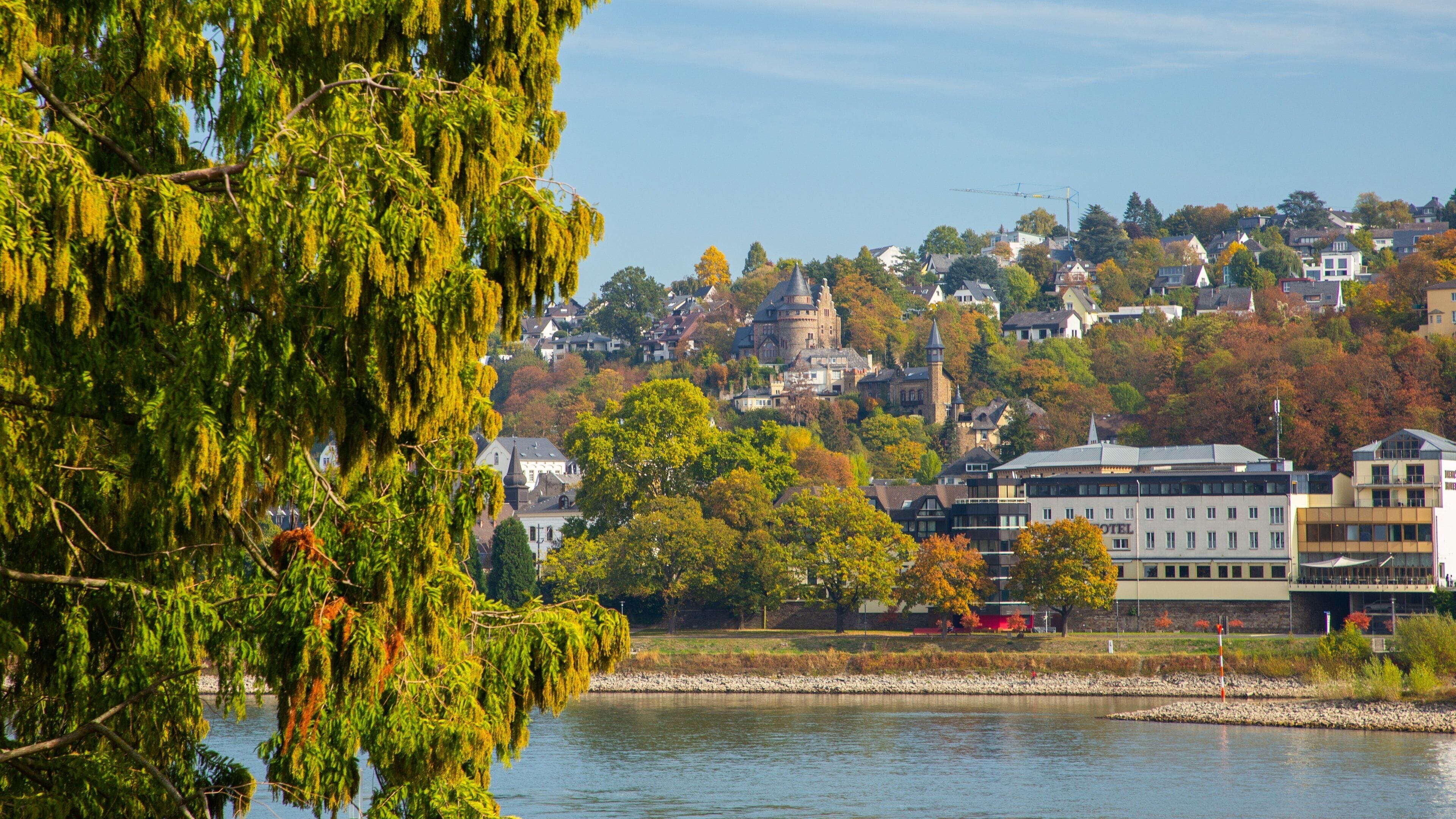 Altstadt Koblenz which includes a lake or waterhole