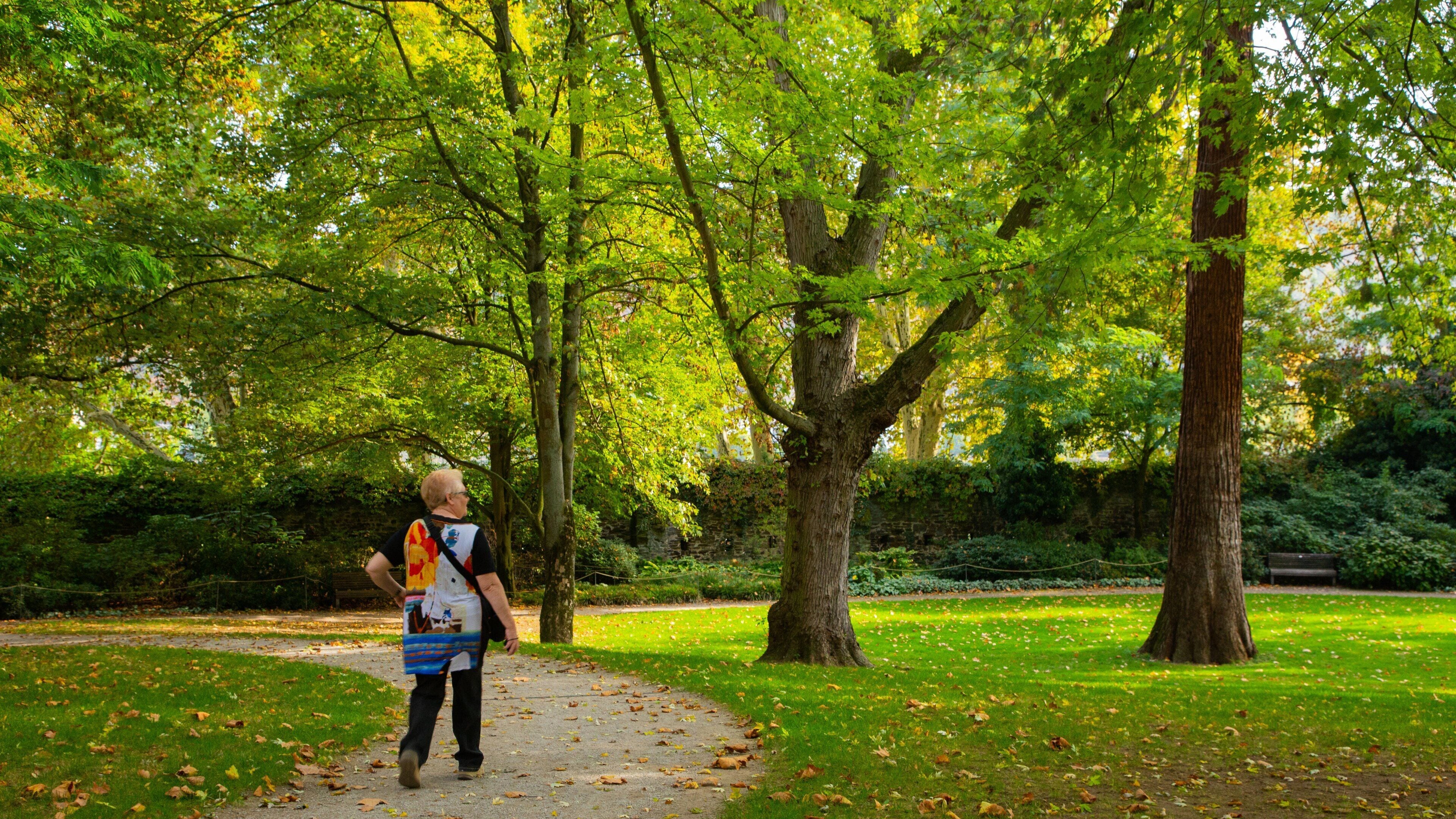 Altstadt Koblenz featuring a park and fall colors as well as an individual femail