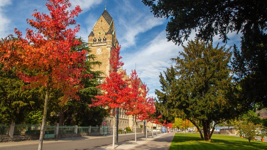 Altstadt Koblenz showing heritage architecture and a park