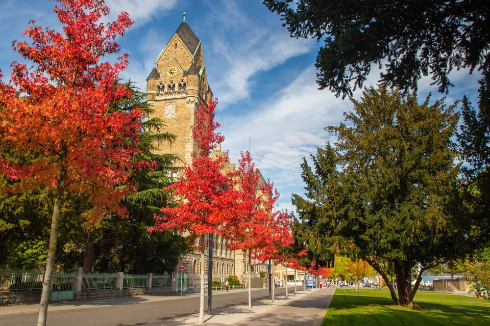 A historic building with a clock tower, surrounded by autumn-colored trees and a clear sky.