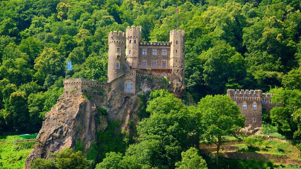 A castle perched on a cliff surrounded by dense forest.