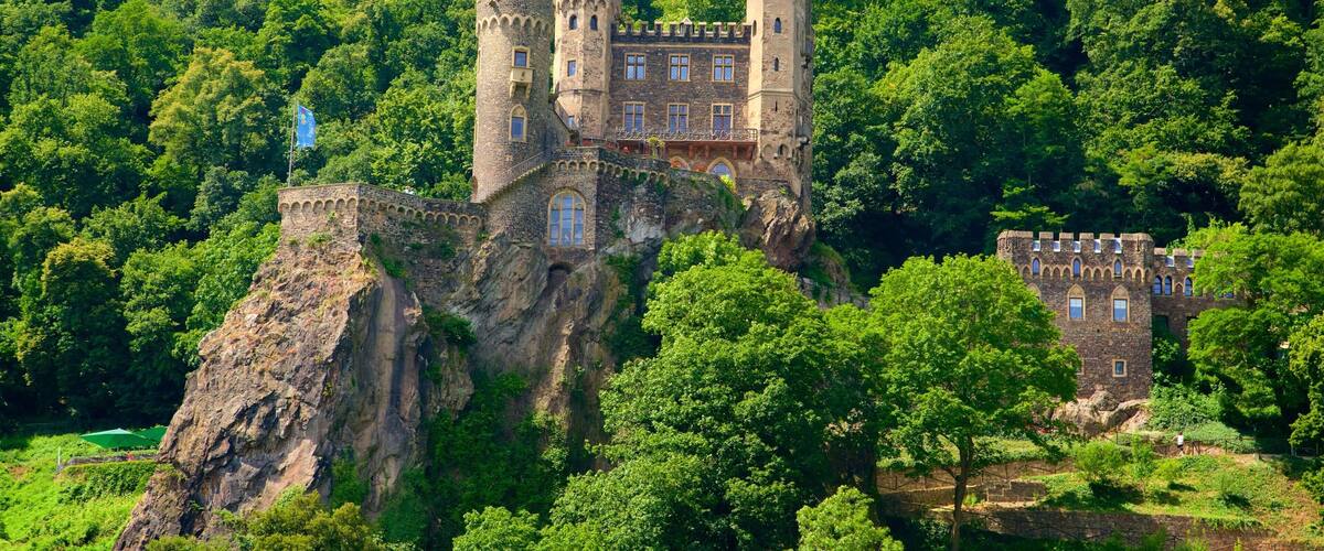 A castle perched on a cliff surrounded by dense forest.