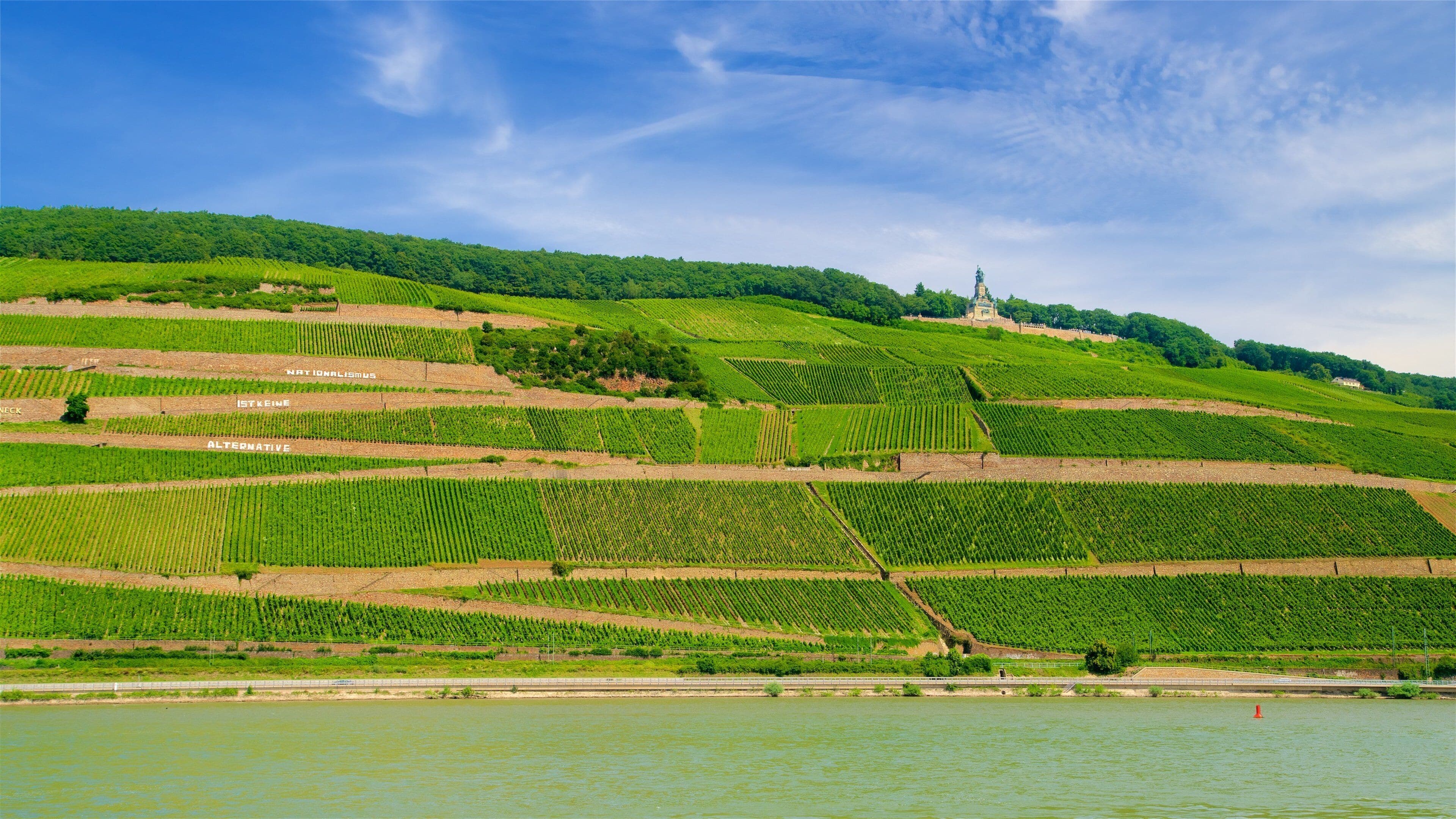 Upper Middle Rhine Valley showing landscape views, a river or creek and farmland
