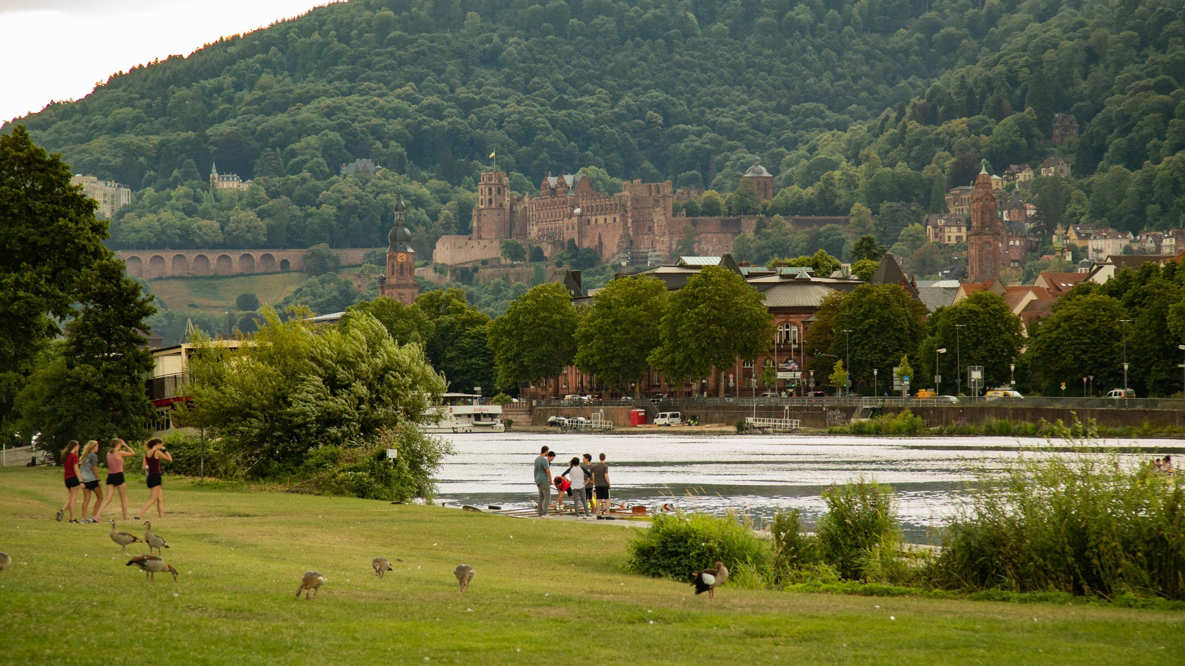 Leinpfad showing a river or creek, a garden and bird life