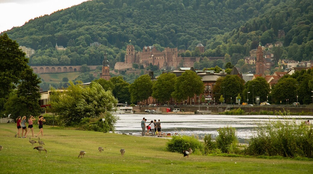 Leinpfad showing a river or creek, a garden and bird life