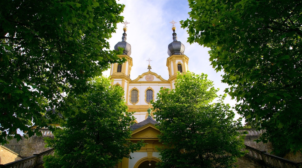 Würzburg che include chiesa o cattedrale e oggetti d\'epoca