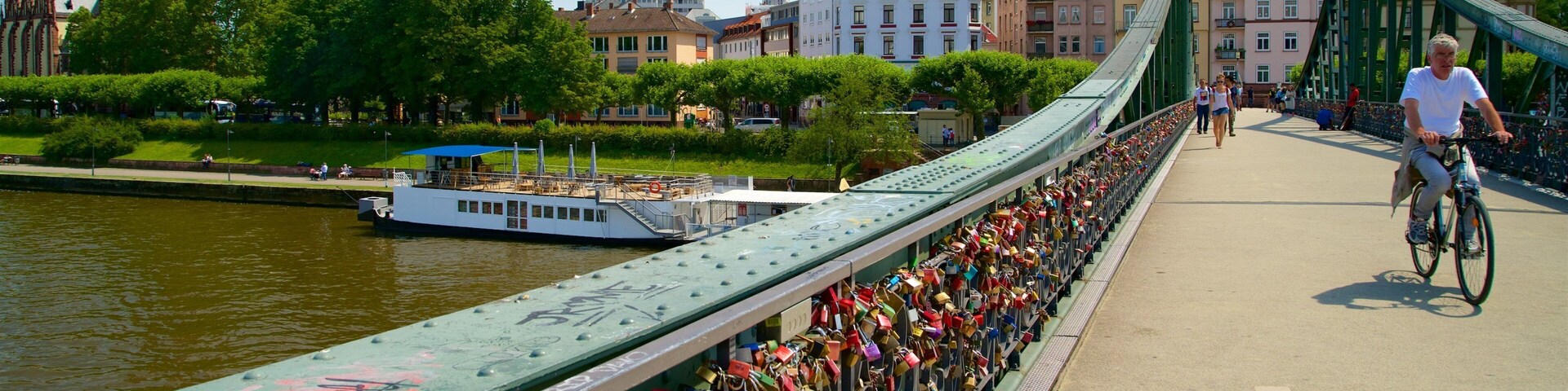 Frankfurt mostrando flores, uma ponte e ciclismo