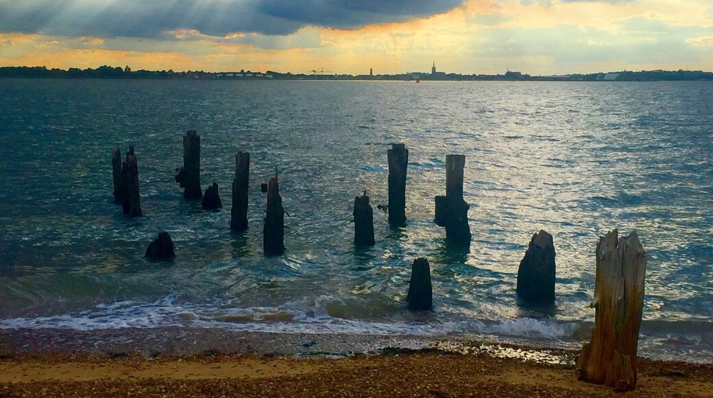 Felixstowe port wooden stumps at dusk