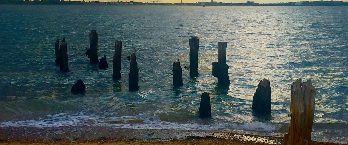 Felixstowe port wooden stumps at dusk