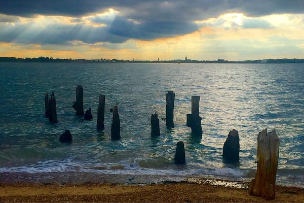Felixstowe port wooden stumps at dusk