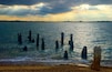 Felixstowe port wooden stumps at dusk
