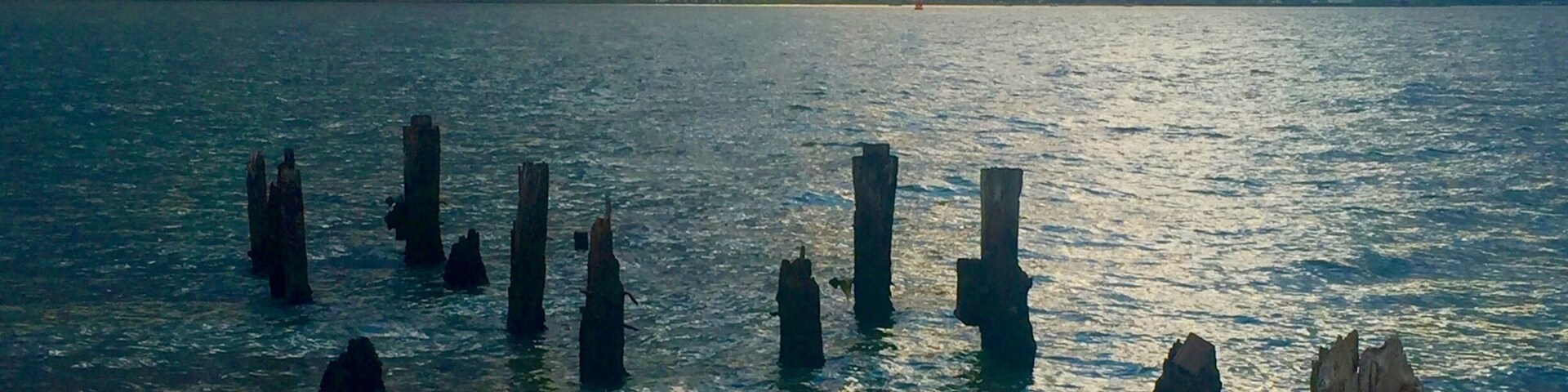 Felixstowe port wooden stumps at dusk